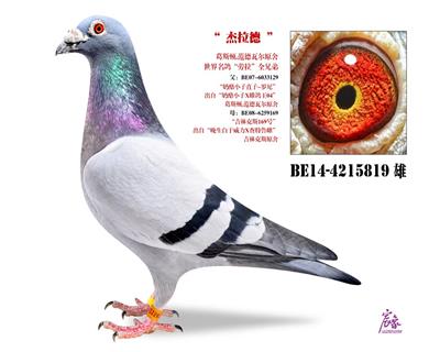 c鿴ƷDƬ