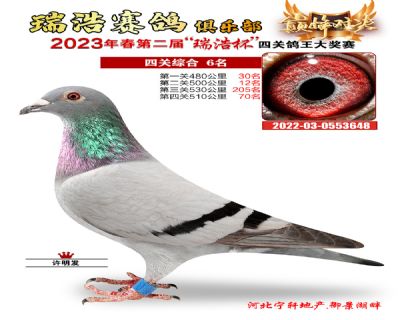 2023年春季四關鴿王6名