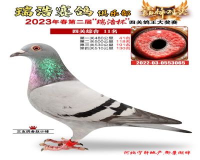 2023年春季四關鴿王11名