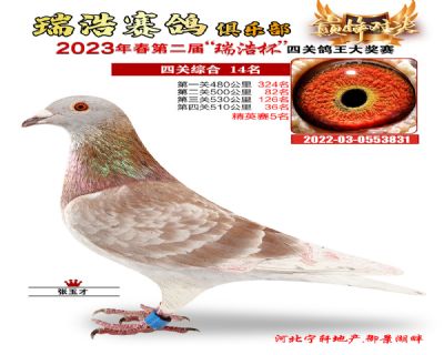 2023年春季四關鴿王14名