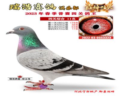 2023年四關鴿王11名