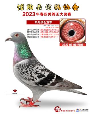 2023年春四關綜合亞軍