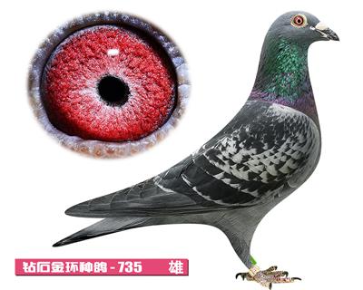 利奧-奧林匹克735