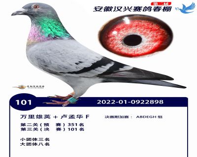 安徽汉兴决赛101名