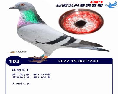 安徽汉兴决赛102名
