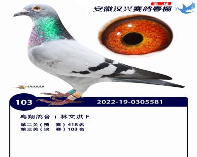 安徽汉兴决赛103名