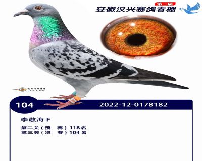 安徽汉兴决赛104名