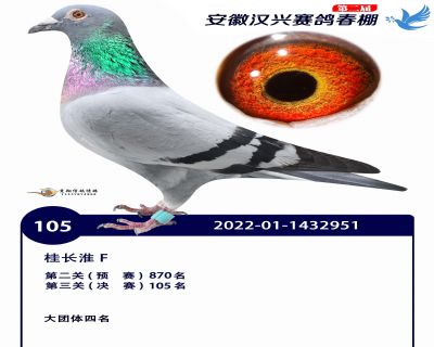 安徽汉兴决赛105名