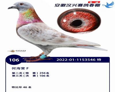 安徽汉兴决赛106名