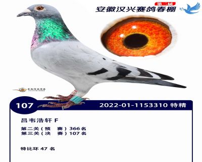 安徽汉兴决赛107名