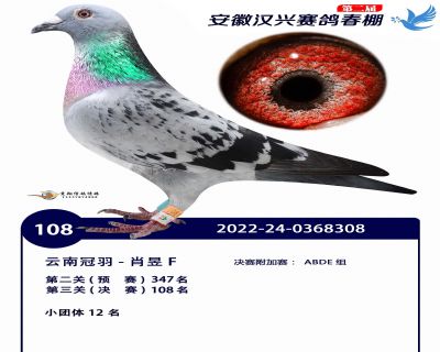 安徽汉兴决赛108名