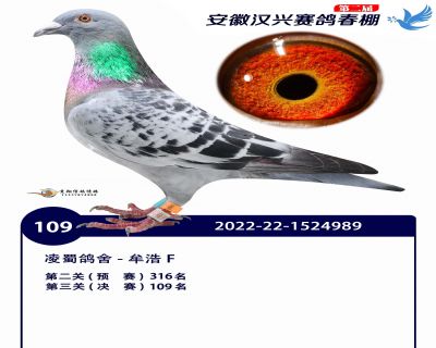 安徽汉兴决赛109名