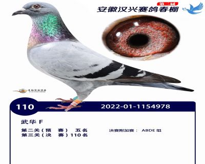 安徽汉兴决赛110名
