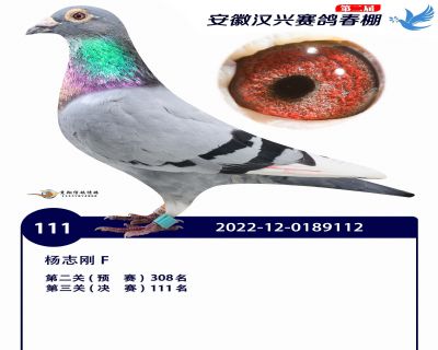 安徽汉兴决赛111名