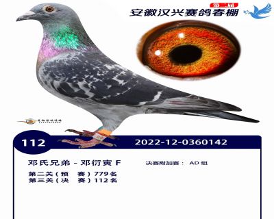 安徽汉兴决赛112名