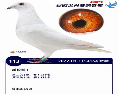 安徽汉兴决赛113名