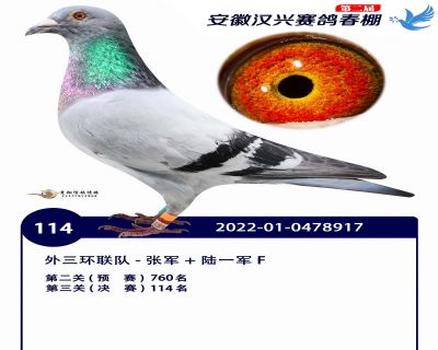 安徽汉兴决赛114名