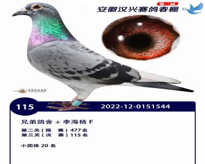 安徽汉兴决赛115名