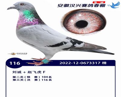 安徽汉兴决赛116名