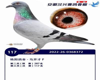 安徽汉兴决赛117名