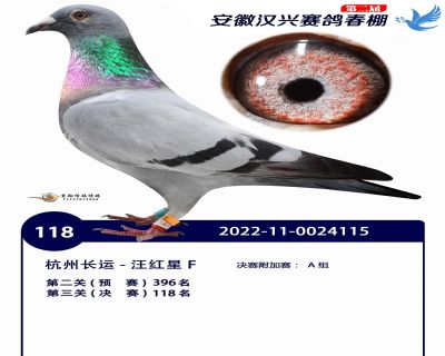 安徽汉兴决赛118名