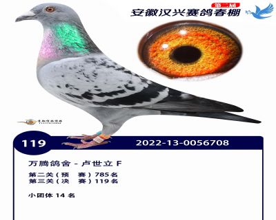 安徽汉兴决赛119名