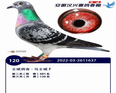 安徽汉兴决赛120名