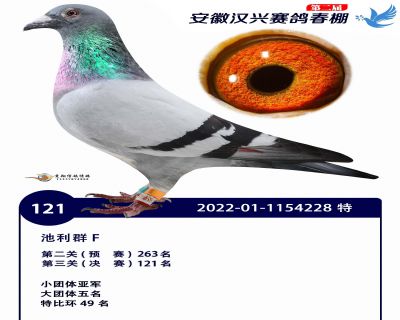 安徽汉兴决赛121名