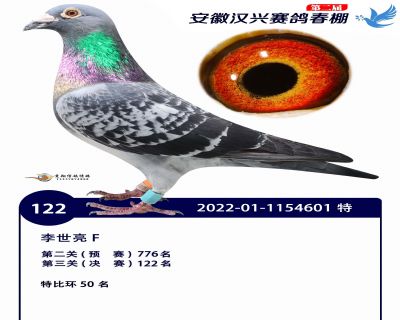 安徽汉兴决赛122名
