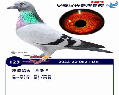 安徽汉兴决赛123名