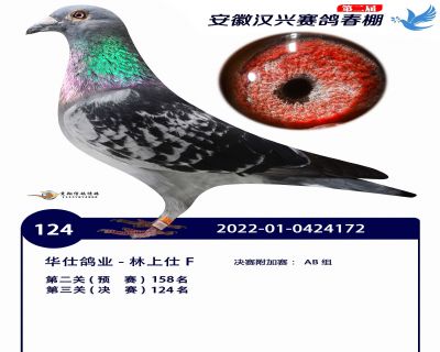 安徽汉兴决赛124名