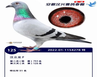 安徽汉兴决赛125名