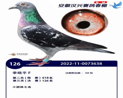 安徽汉兴决赛126名
