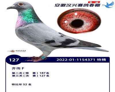 安徽汉兴决赛127名