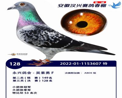 安徽汉兴决赛128名
