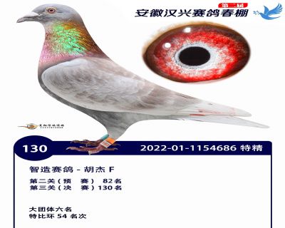 安徽汉兴决赛130名