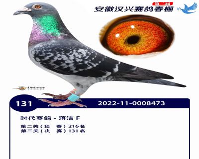 安徽汉兴决赛131名