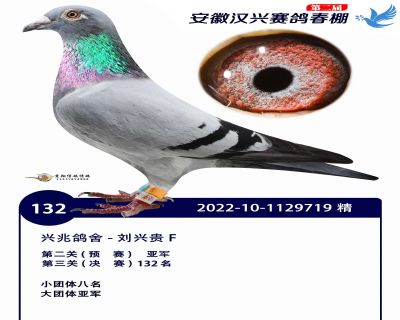 安徽汉兴决赛132名