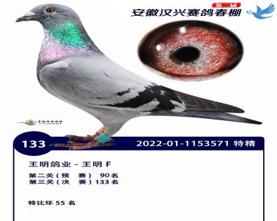 安徽汉兴决赛133名