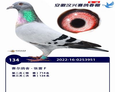 安徽汉兴决赛134名