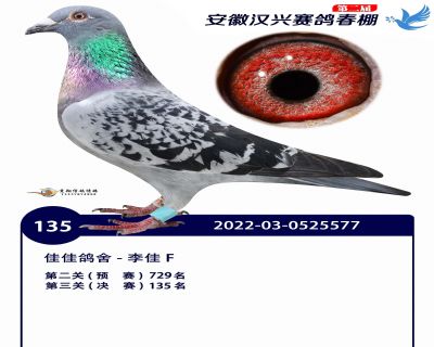 安徽汉兴决赛135名