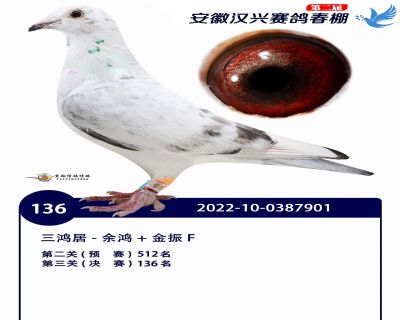 安徽汉兴决赛136名