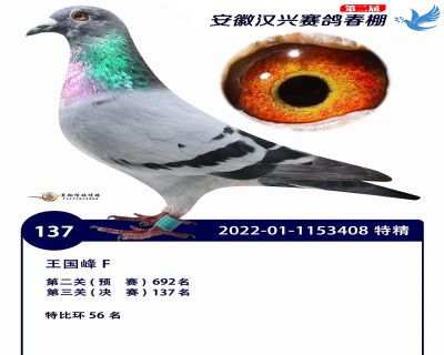 安徽汉兴决赛137名