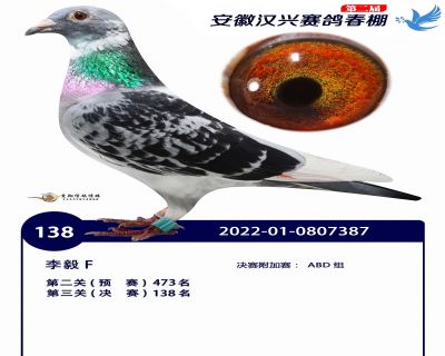 安徽汉兴决赛138名