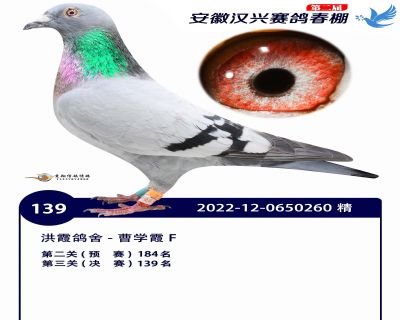 安徽汉兴决赛139名