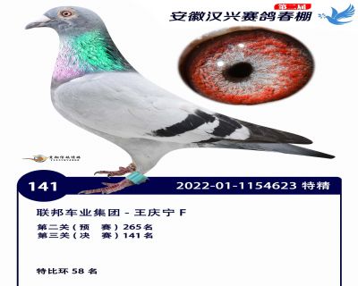 安徽汉兴决赛141名
