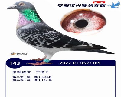 安徽汉兴决赛143名