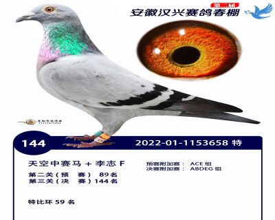 安徽汉兴决赛144名
