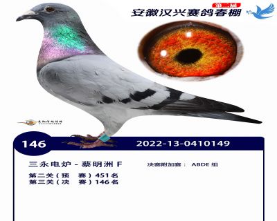 安徽汉兴决赛146名