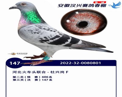安徽汉兴决赛147名